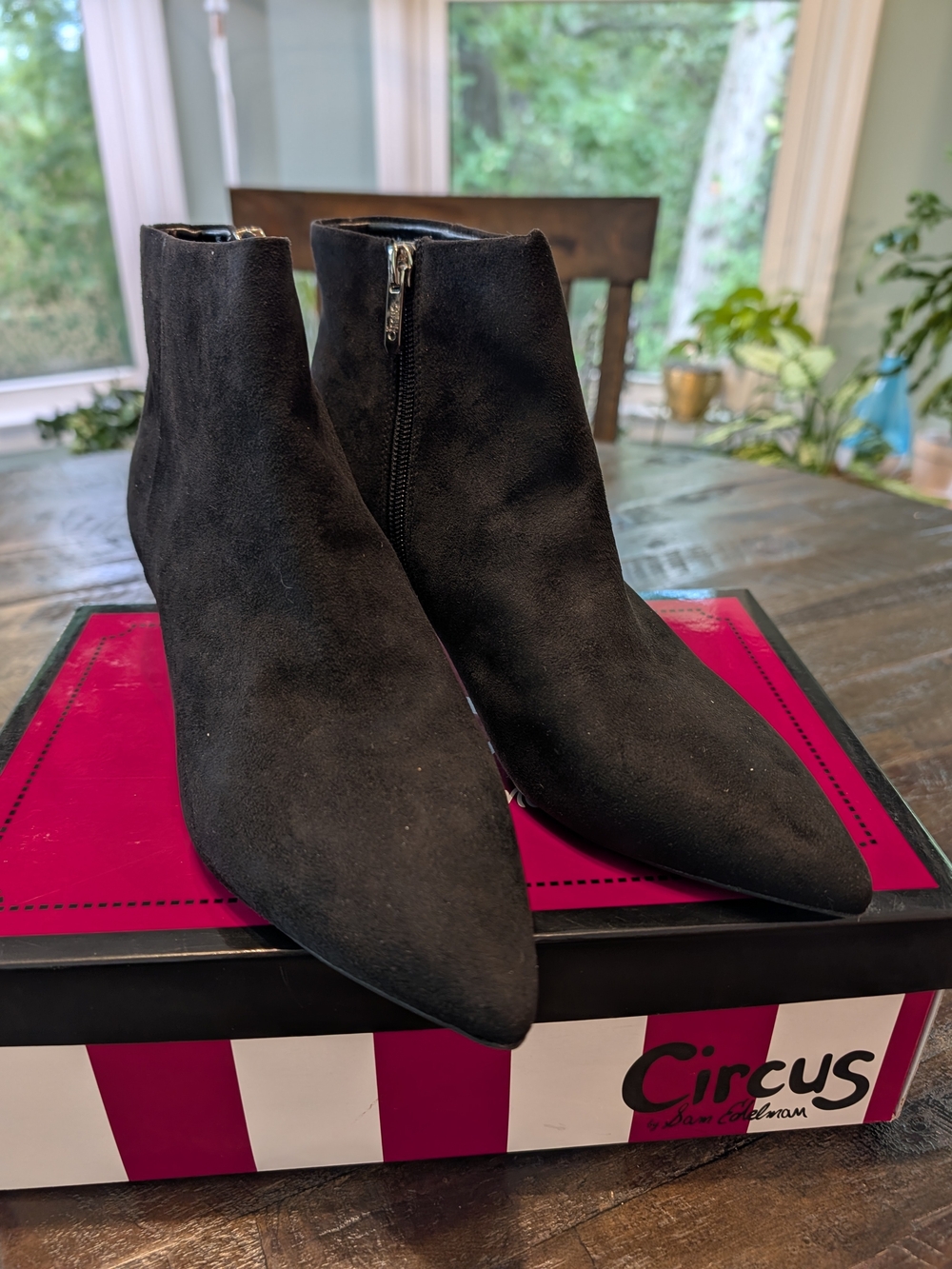 Circus by Sam Edelman Black Pointed Ankle Boots